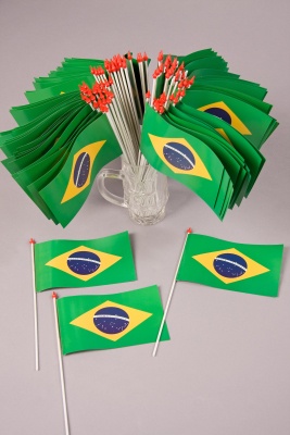 Plastikfhnchen, ca. 10x15 cm, Brasilien