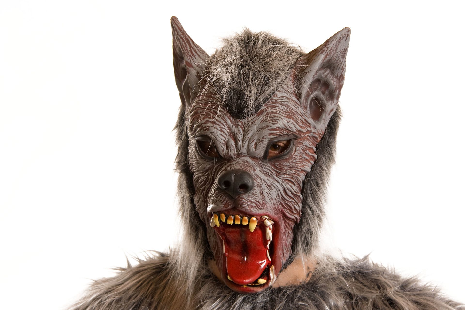 Latexmaske Werwolf
