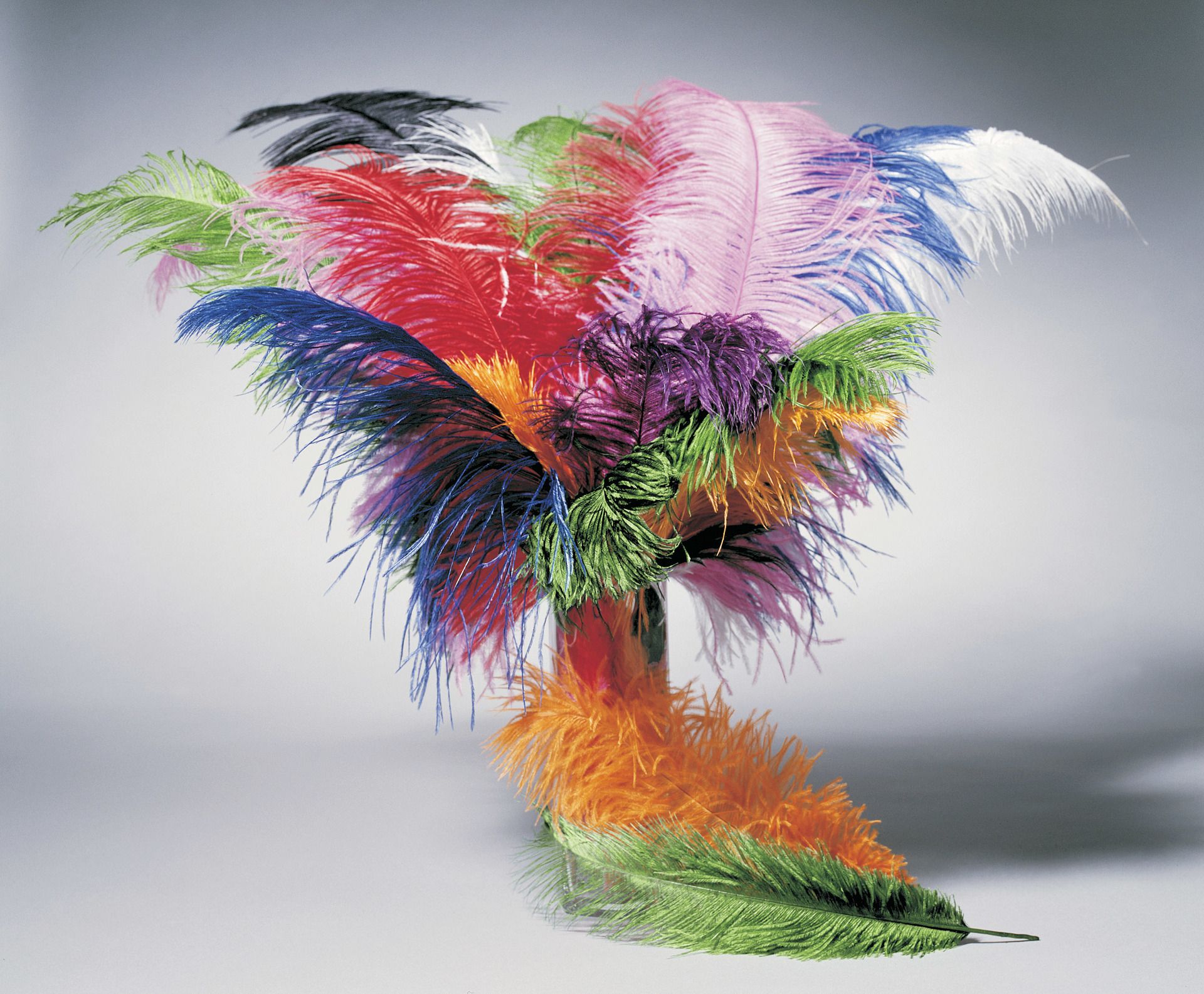 Strauenfeder, ca. 50-60 cm, sortiert