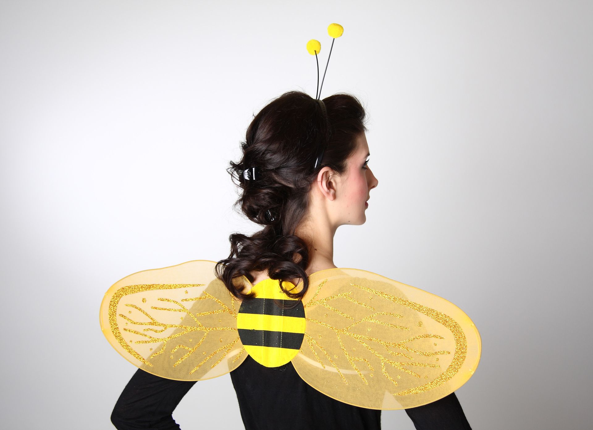 Bienenset: Flgel, Kopfbgel mit Fhlern